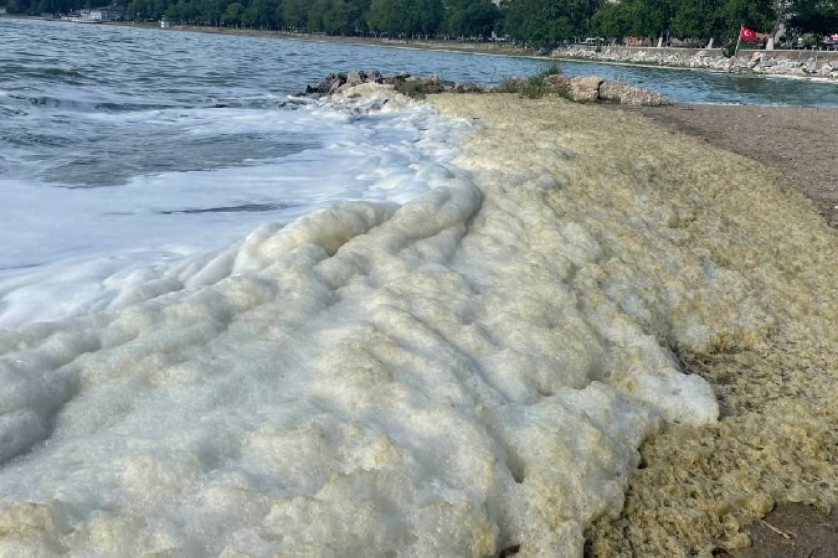 Bursa'da İznik Gölü'ne girmek yasaklandı