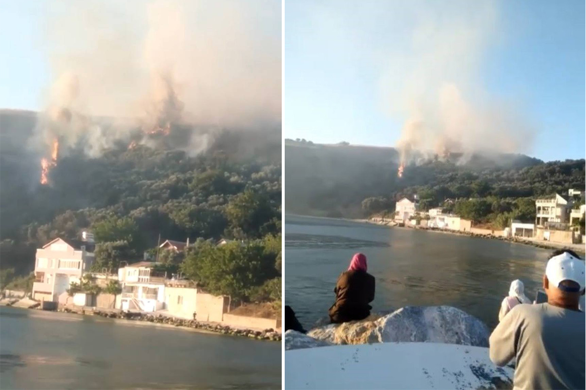 Bursa'da korkutan orman yangını