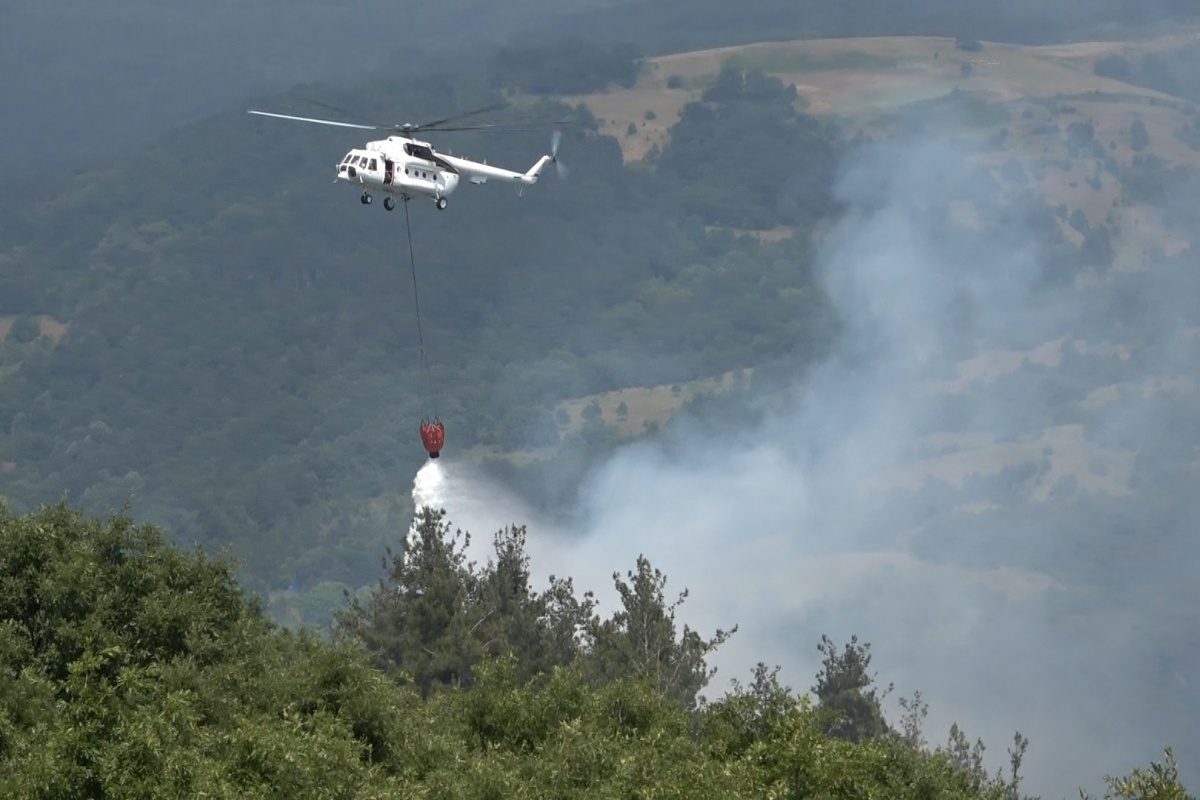 Bursa'da orman yangını